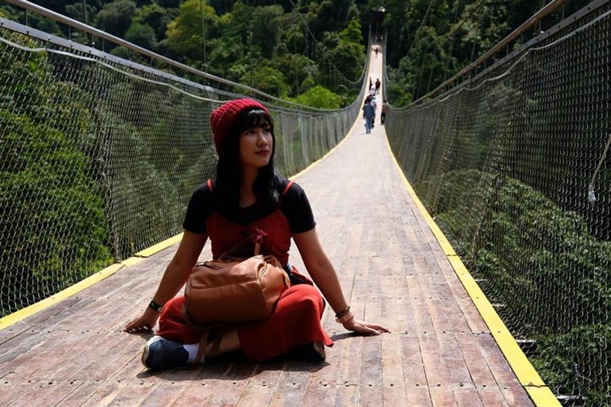 a woman sitting on a bridge on a suspension bridge
