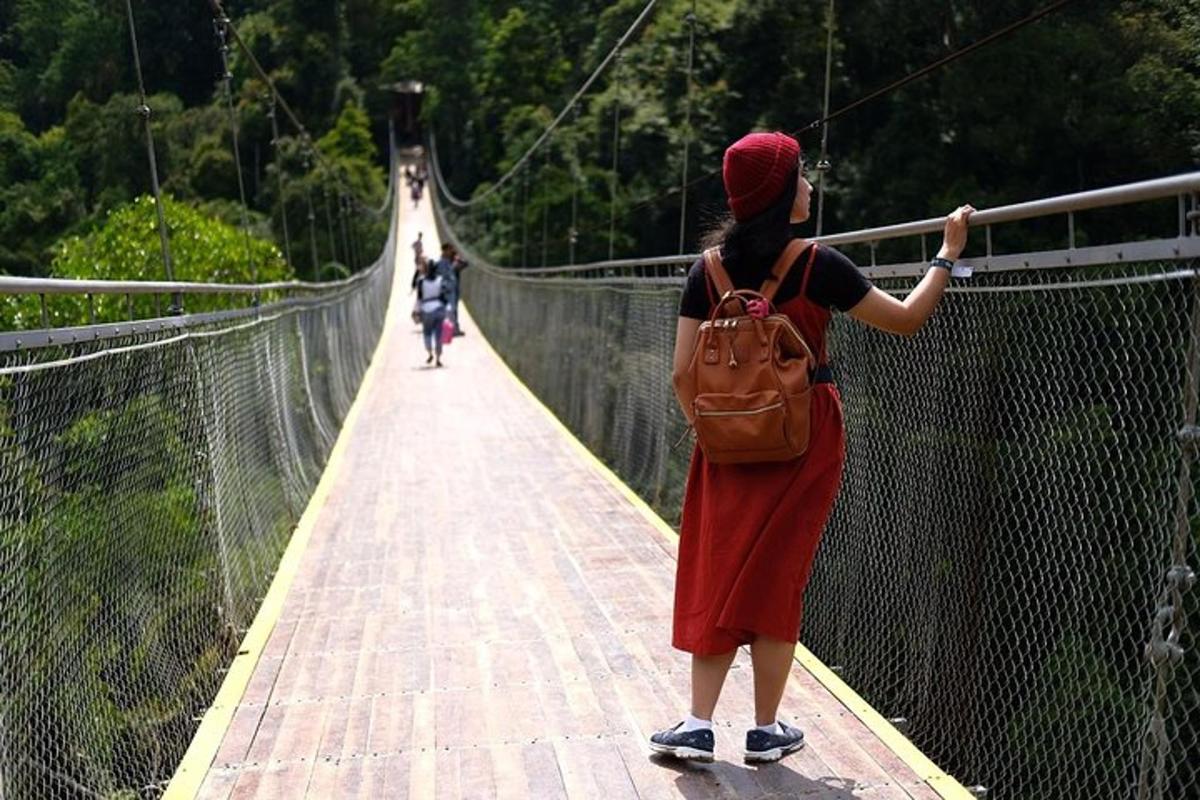 uma mulher está em pé em uma ponte suspensa