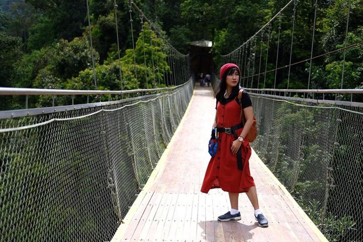 a woman is standing on a suspension bridge