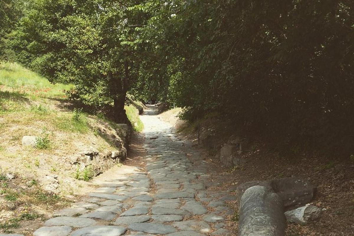 a stone path with trees on the side of a hill