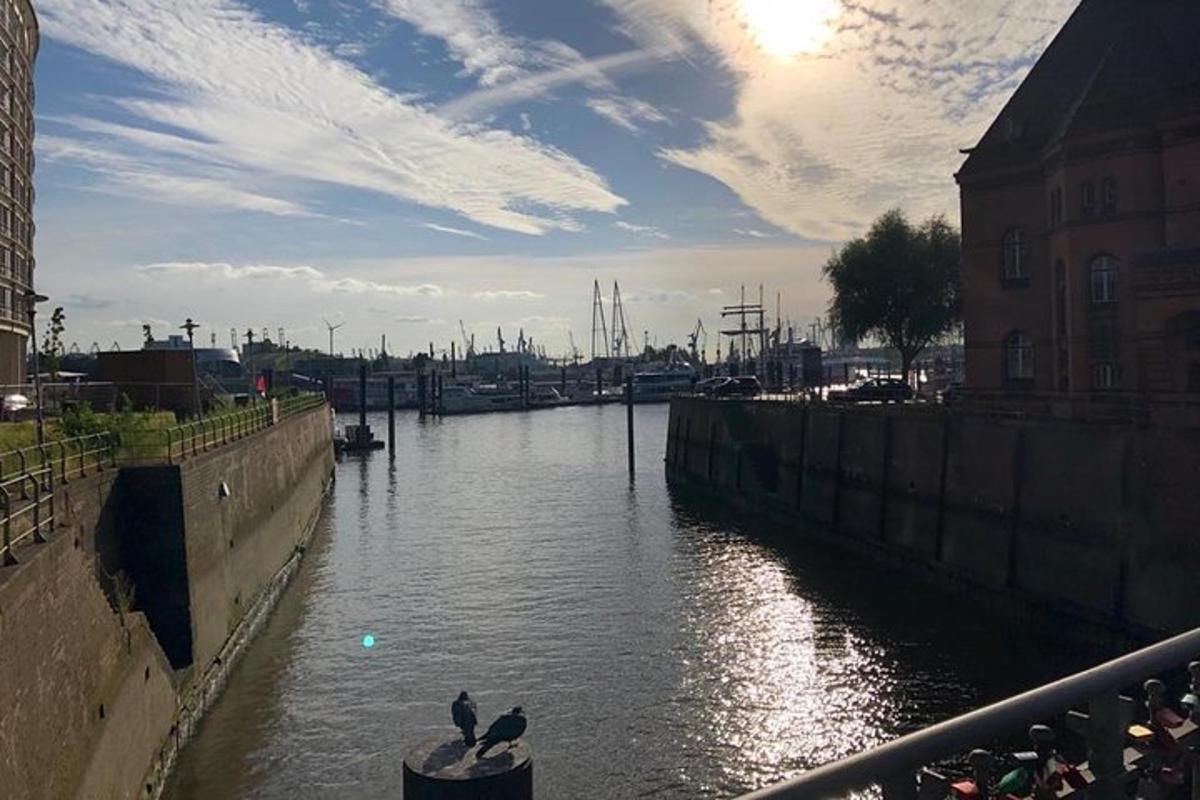 zwei Vögel sitzen auf einer Stange neben einem Fluss