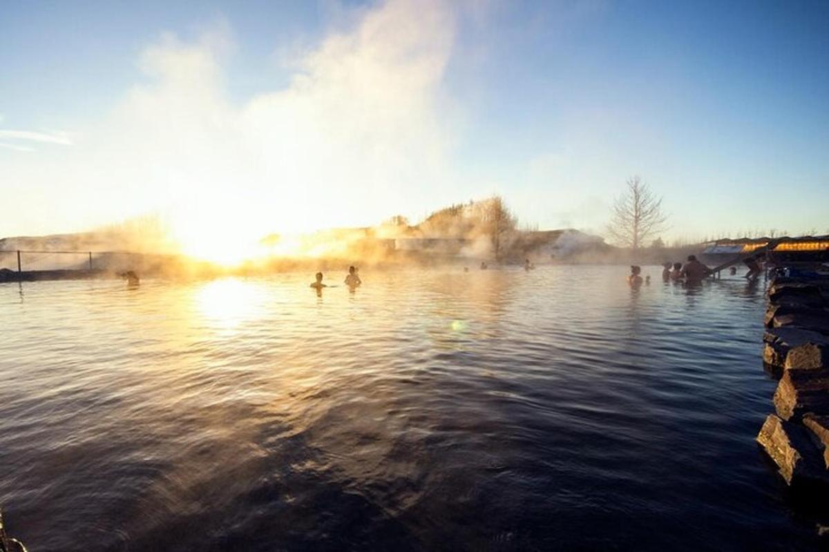 a group of people swimming in a body of water