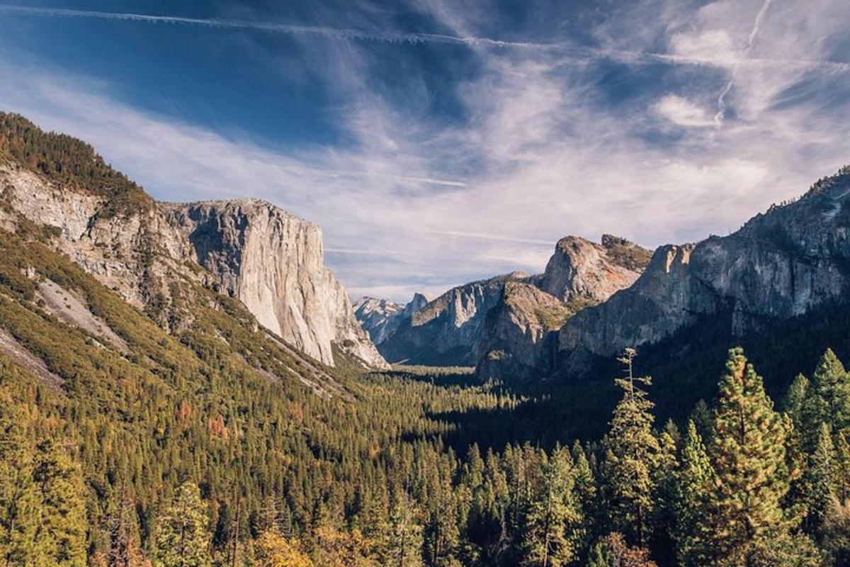 uma vista de um vale nas montanhas com árvores