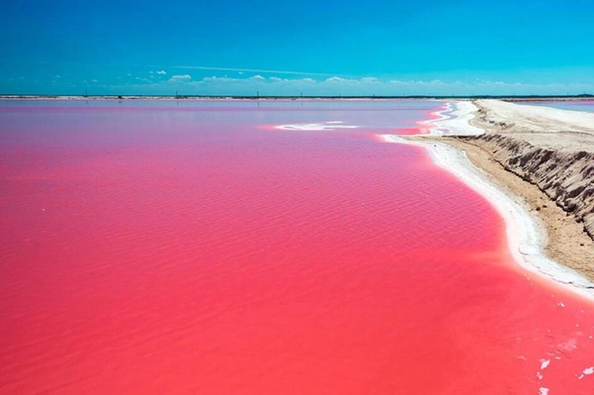 un grande specchio d'acqua con acqua rosa