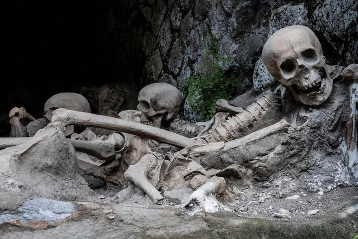 a bunch of skeletons laying on the ground in a cave