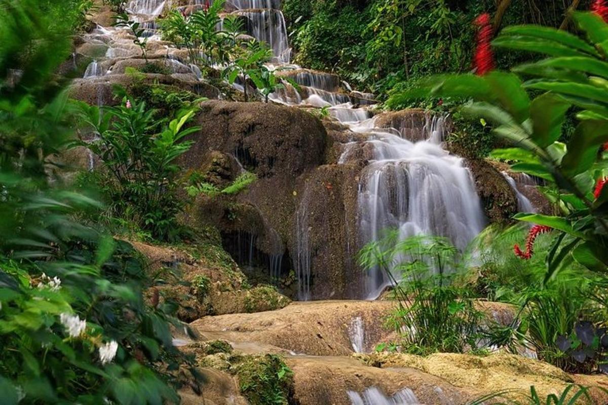 una cascata in un giardino con rocce e piante