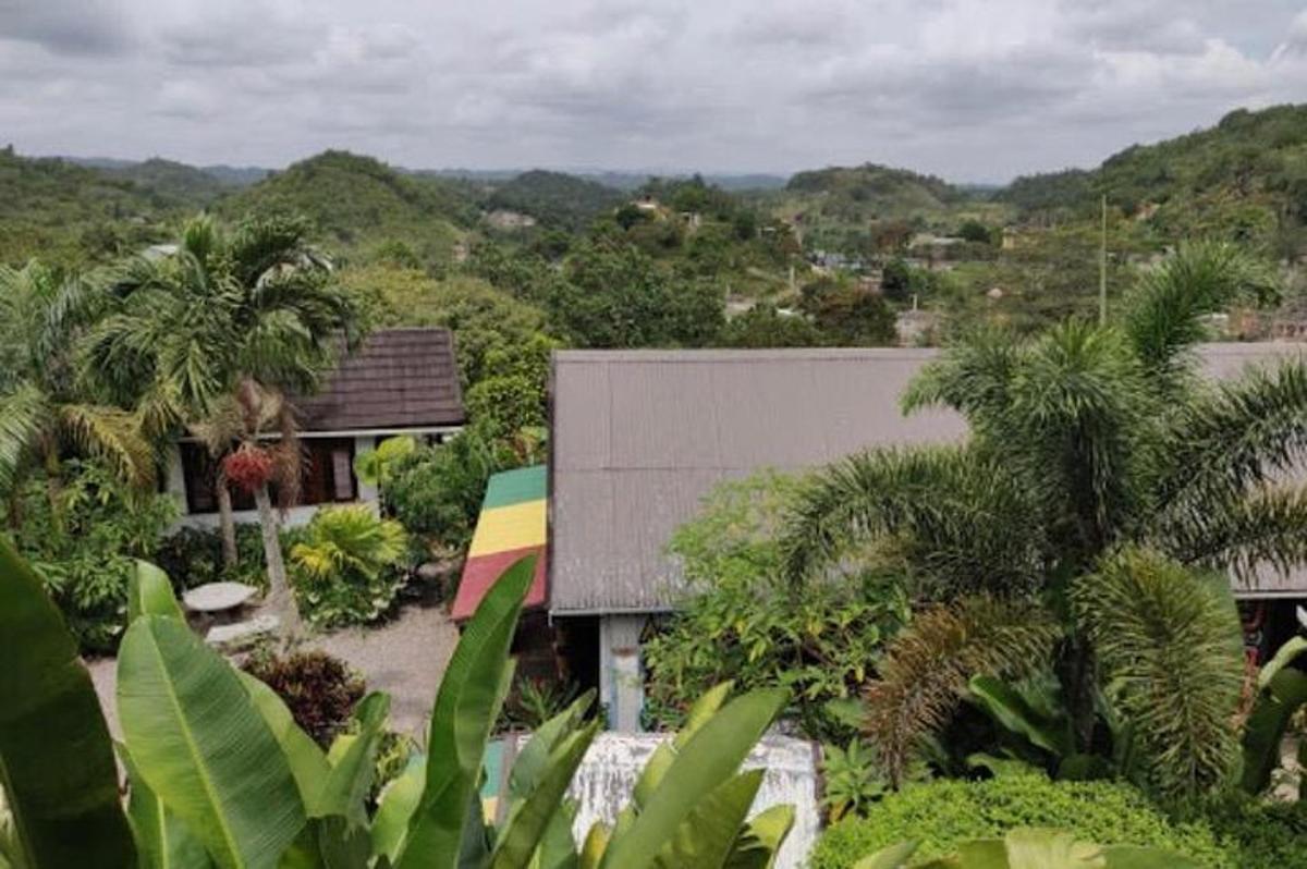 sebuah rumah dengan bumbung berwarna-warni dan pokok palma