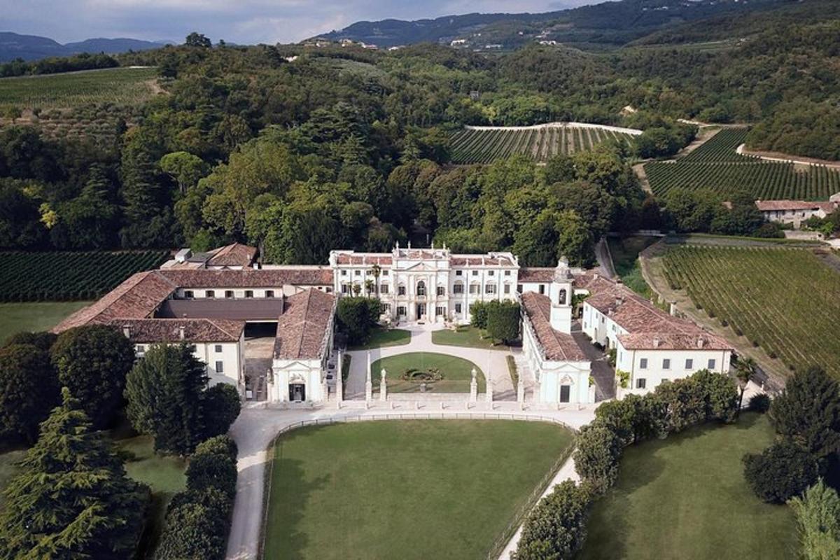 una vista aerea di una grande casa bianca con alberi
