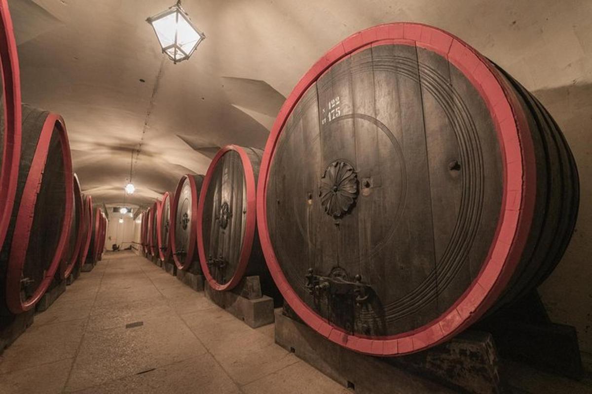 eine Reihe von Weinfässern in einem Keller