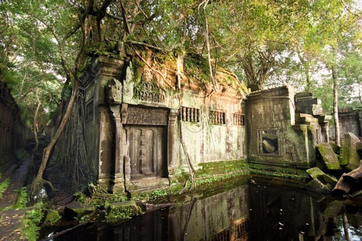 an old building with a door in a forest