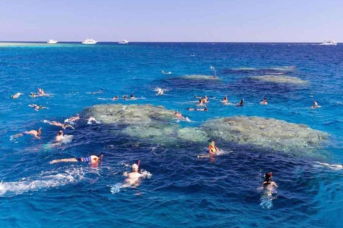 海で泳いでいる人々のグループ