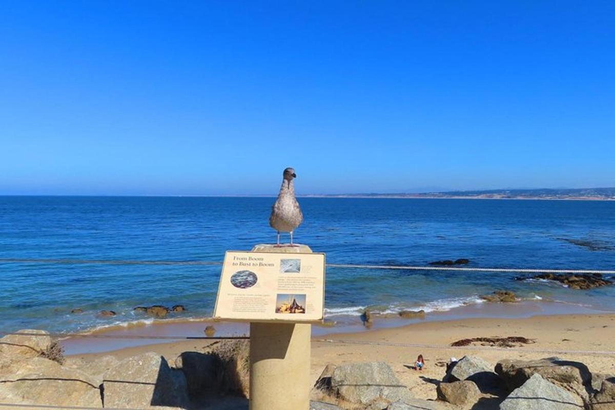 a bird sitting on top of a sign on the beach