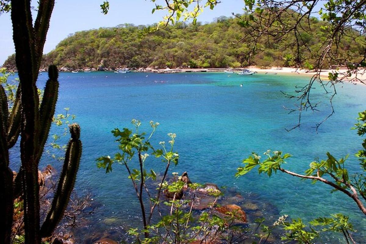 a view of a beach with a person in the water