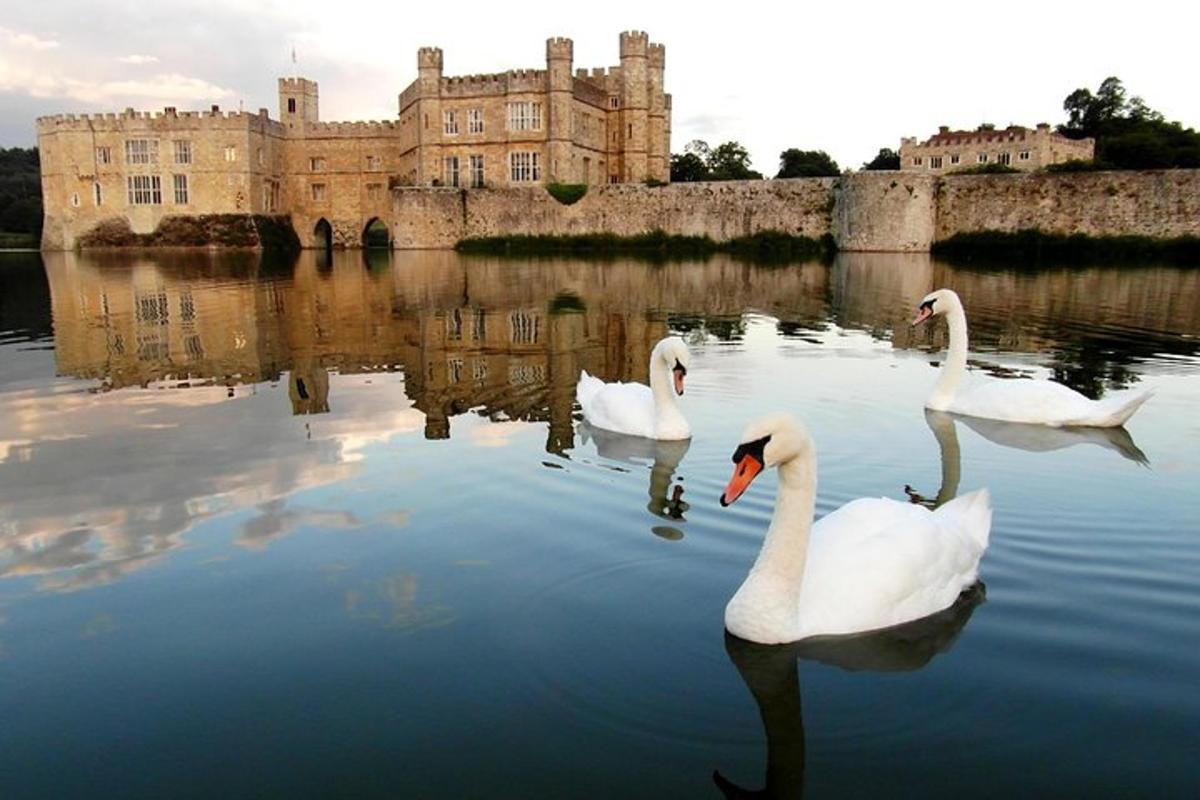 tre cigni che nuotano in un lago di fronte a un castello