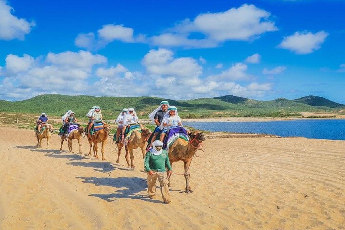 grupa ludzi jadących konno po plaży
