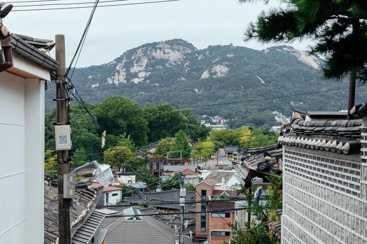 Una vista de una ciudad con una montaña al fondo.