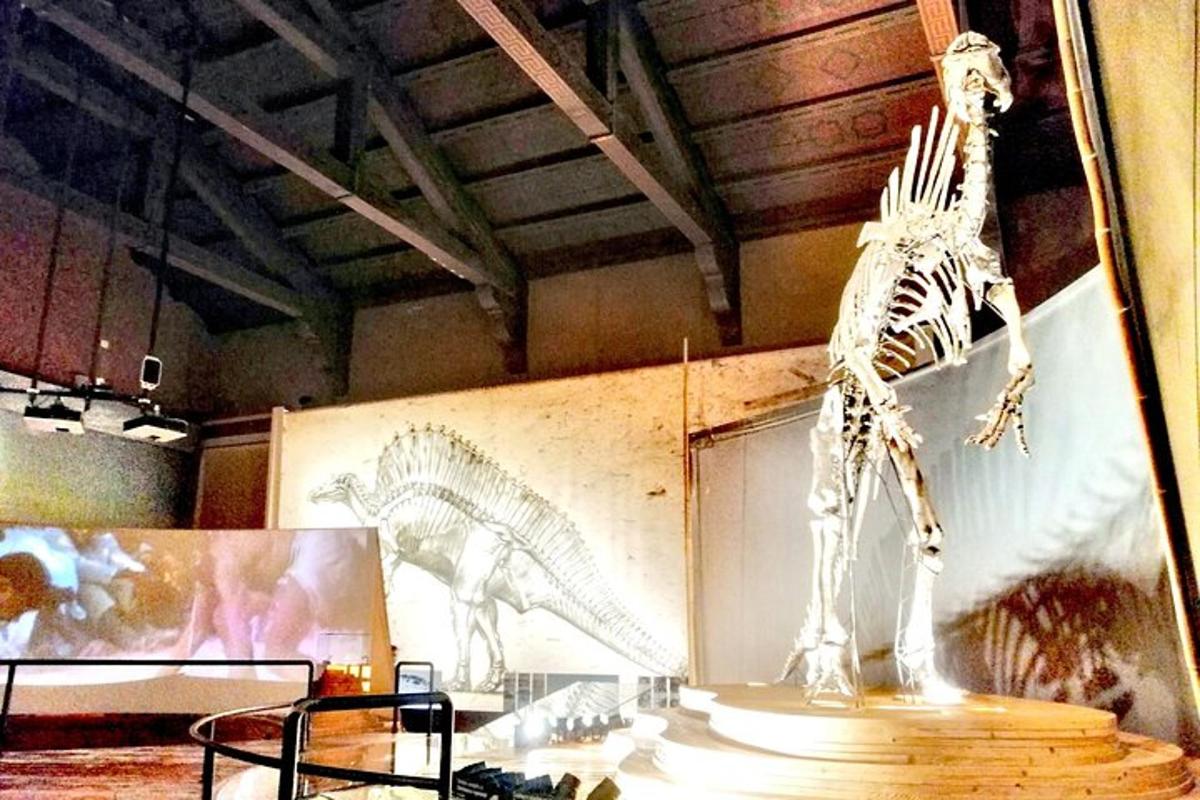 Okostje dinozavra na ogled v muzeju