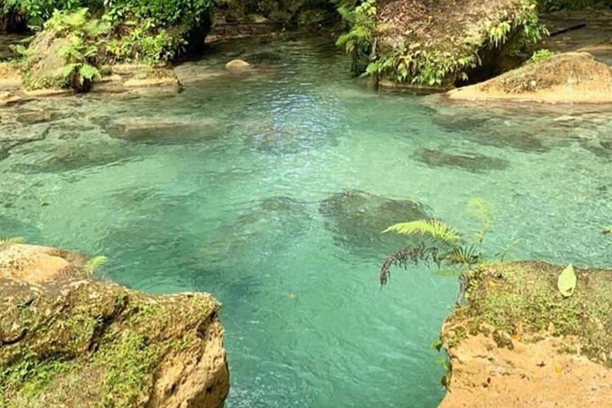 緑色の水と岩のある川