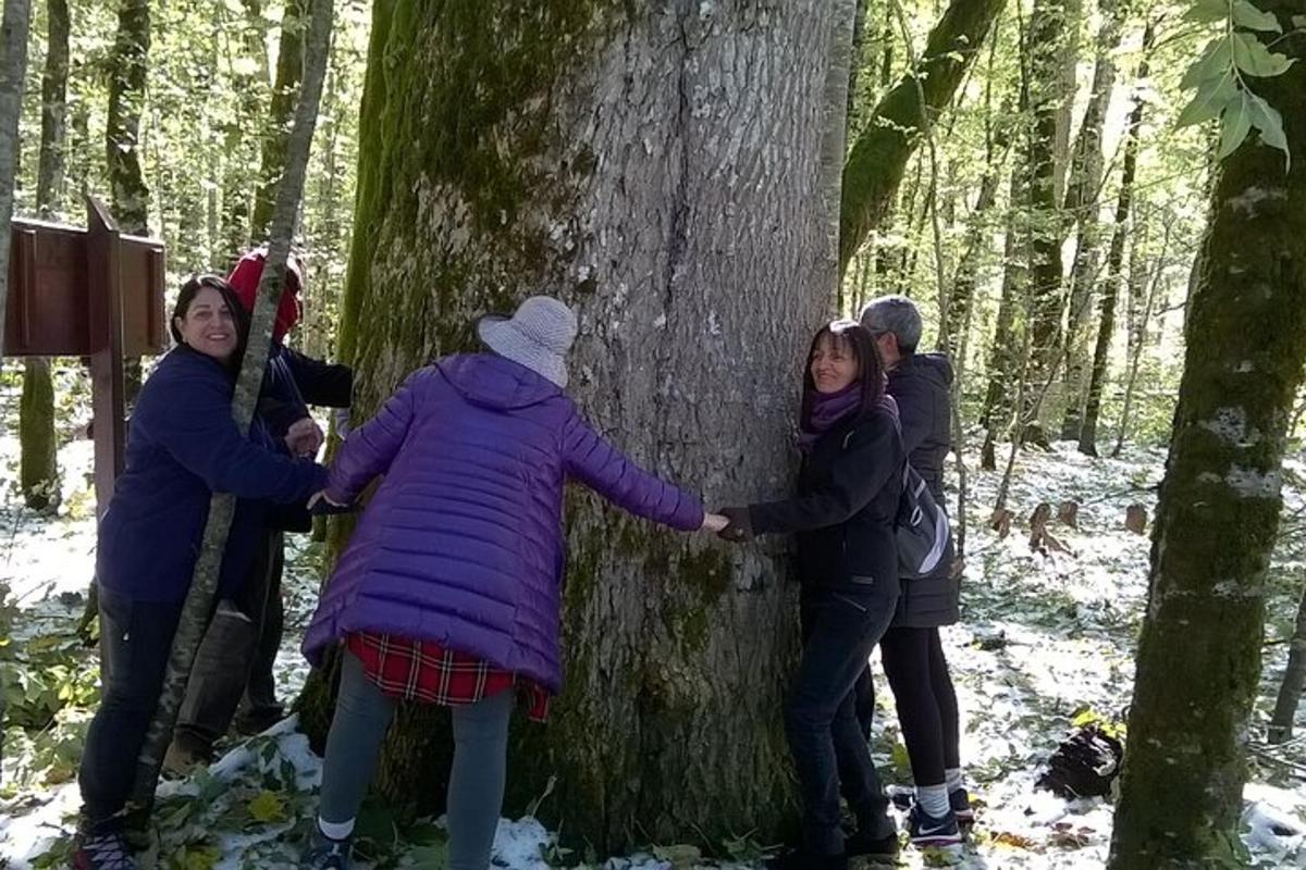 a group of people standing around a tree