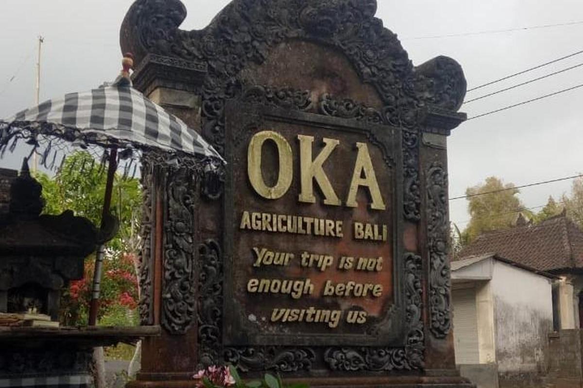 знак на којем пише „ок“ испред зграде