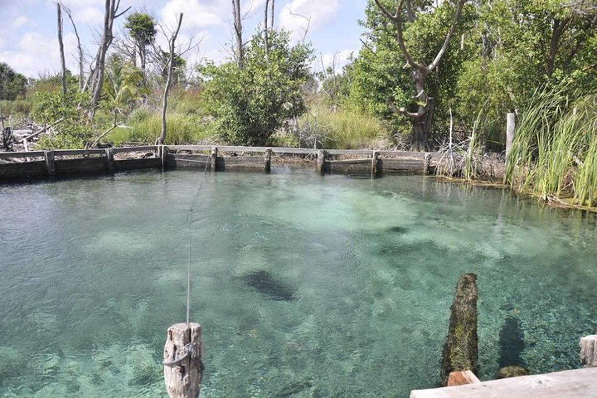 Una gran piscina de agua con una cuerda dentro.