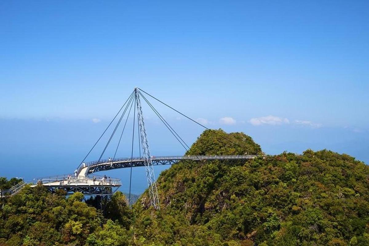 un ponte in cima a una collina con alberi