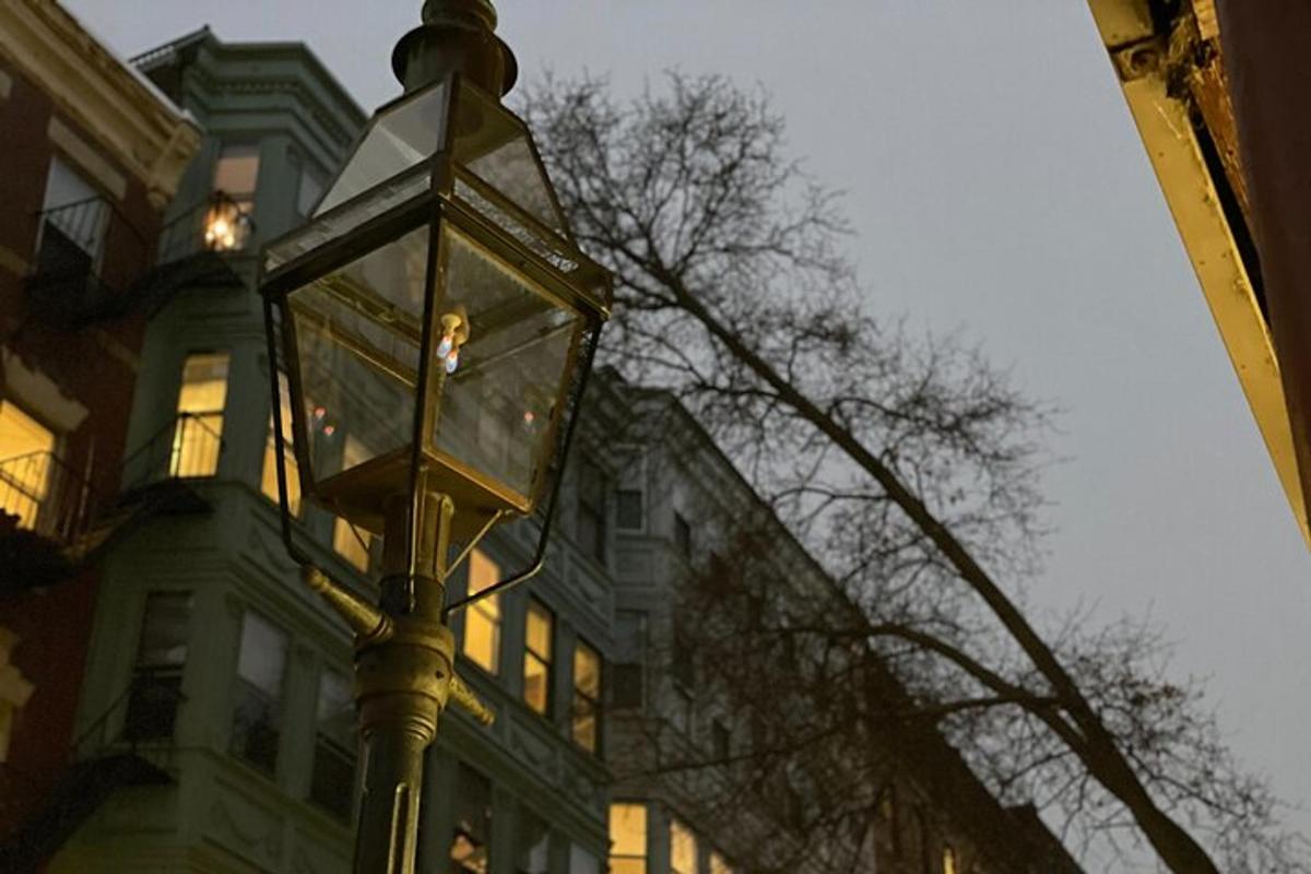 pouliční lampa před budovou se stromem