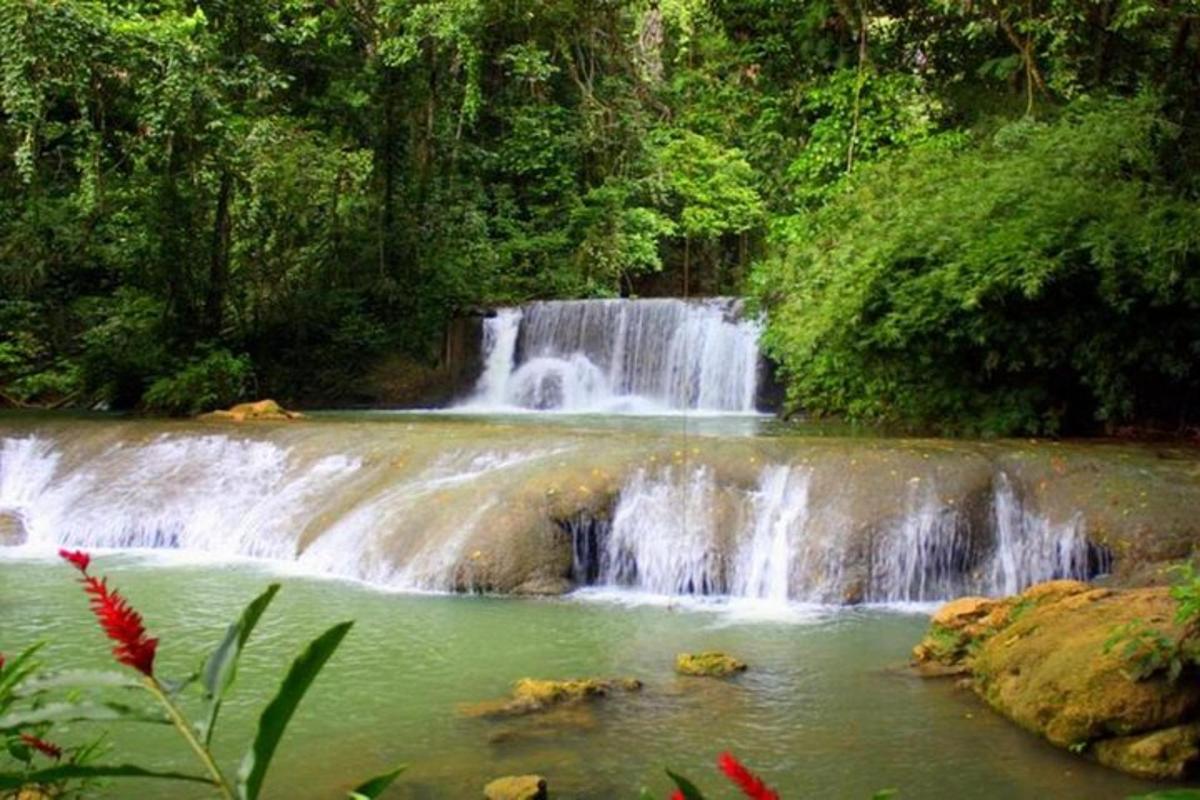 một thác nước giữa rừng