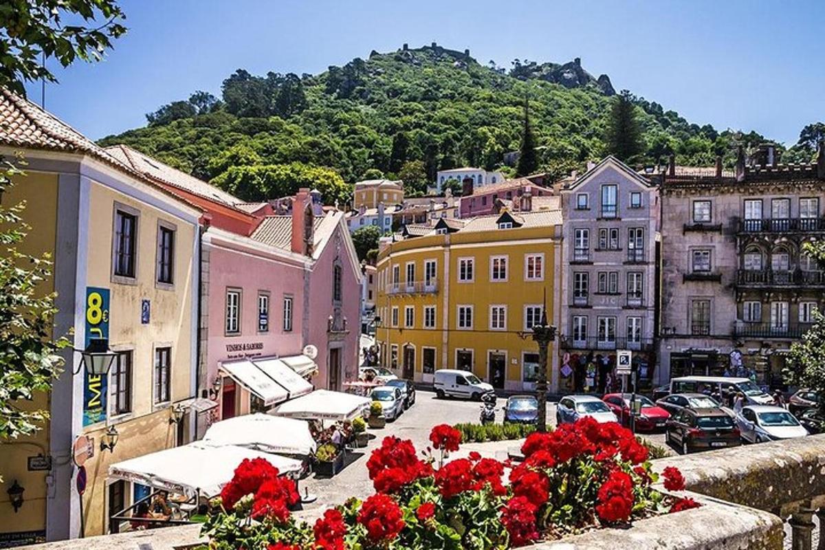 a view of a city with buildings and flowers