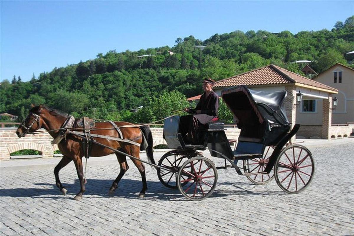 a man riding in a horse drawn carriage