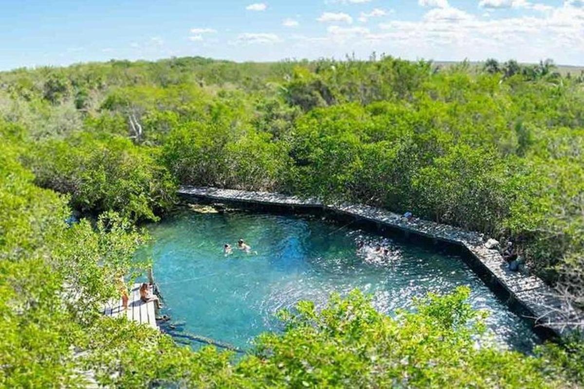 una piscina d'acqua con persone che nuotano dentro