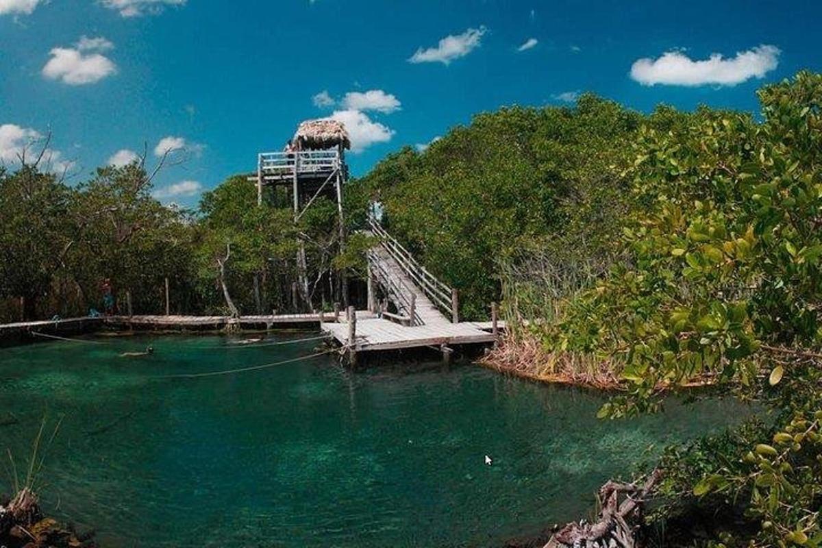 un ponte sopra un fiume con una casa in cima