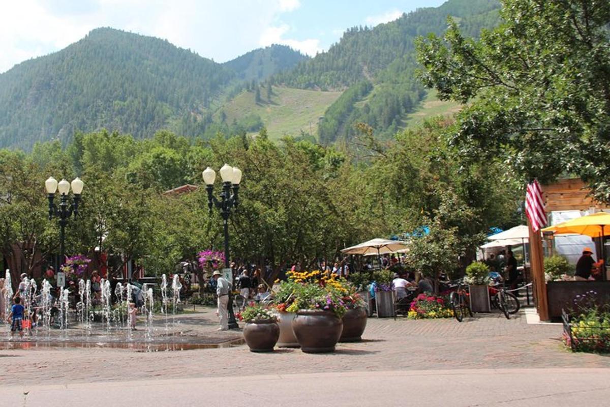 a fountain in a park with flowers in pots