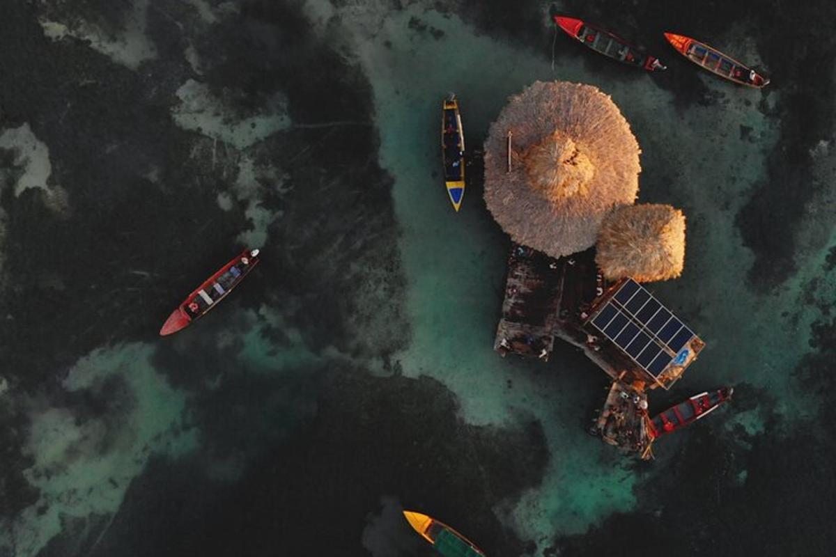 uma vista aérea de um ursinho de pelúcia e barcos na água