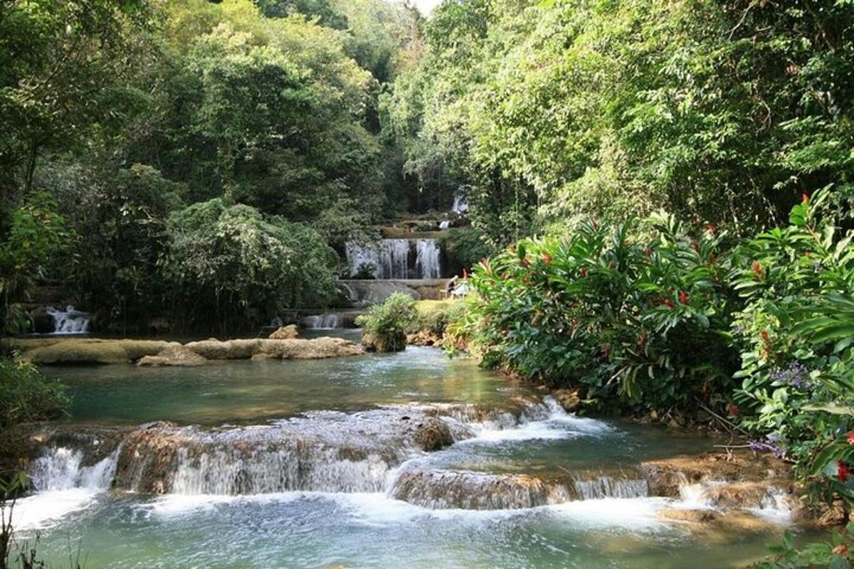 uma cachoeira no meio de um rio com árvores