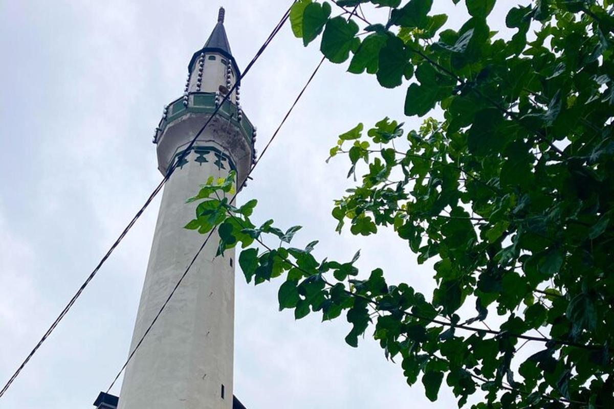 a tall white lighthouse in the sky with a tree