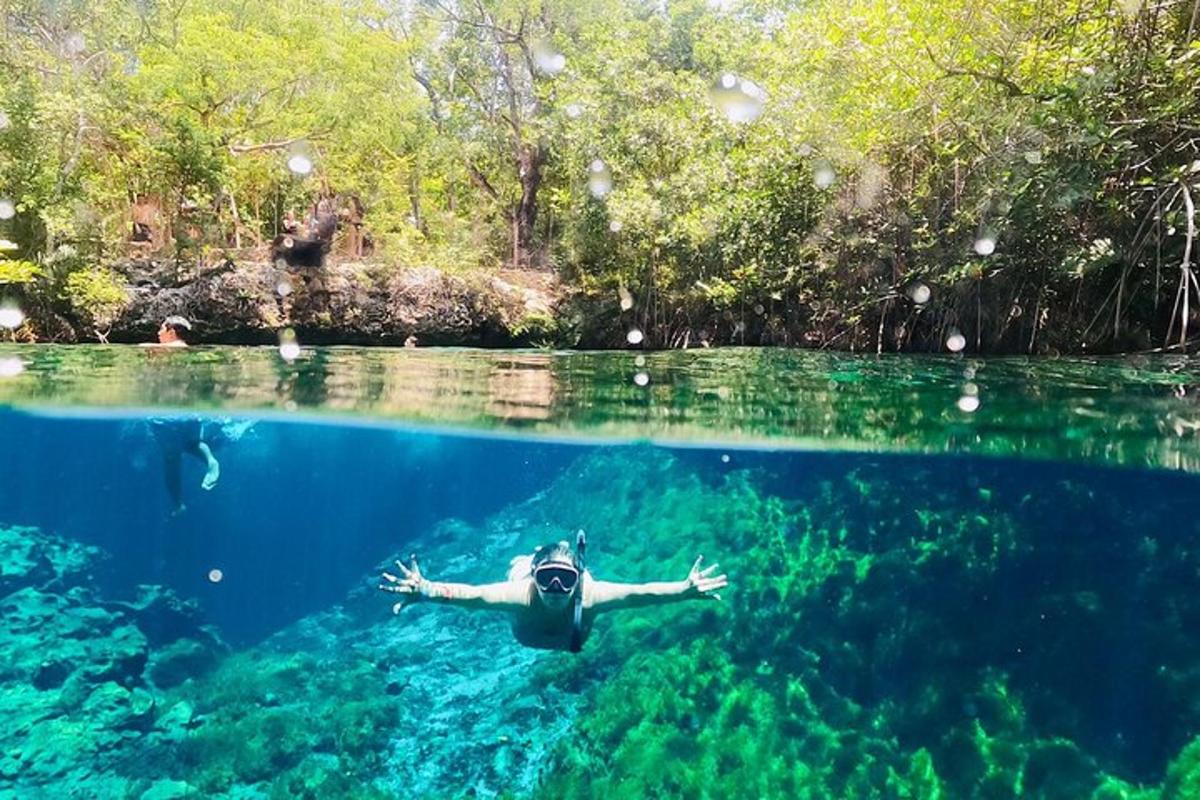 una persona nadando en el agua del océano