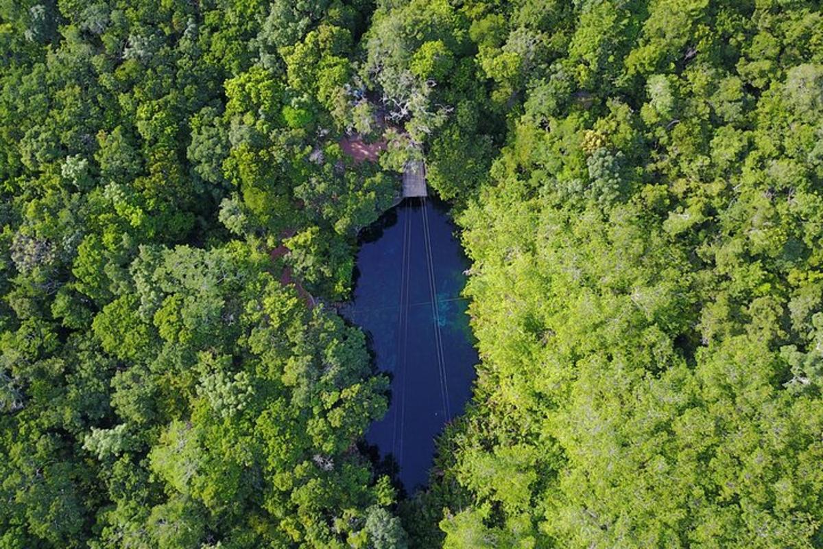 pohled shora na jezero uprostřed lesa