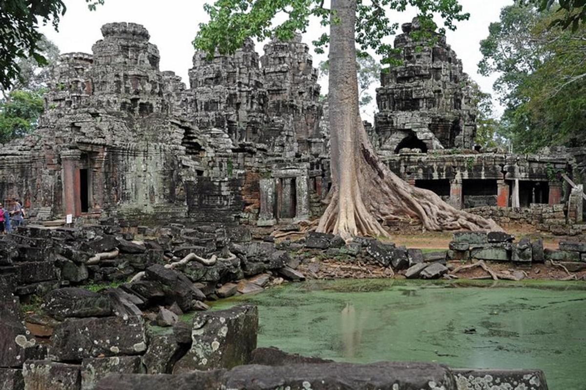 a tree in front of a temple with a pond
