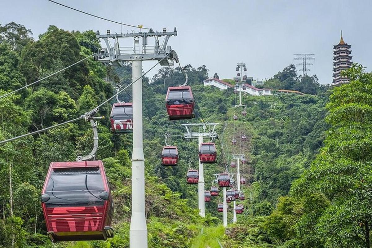 a group of red cable cars on a mountain