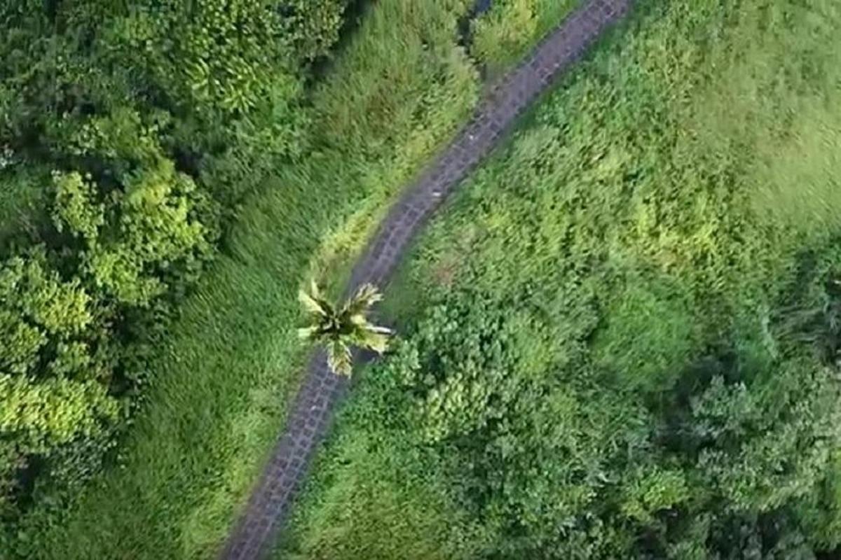 Letecký pohled na pole s nezpevněnou cestou