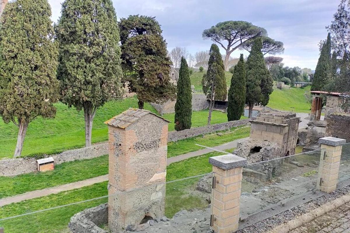 una vista di un parco con alberi e cespugli