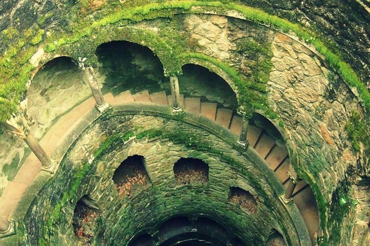 pohled shora na tunel se zeleným mechem