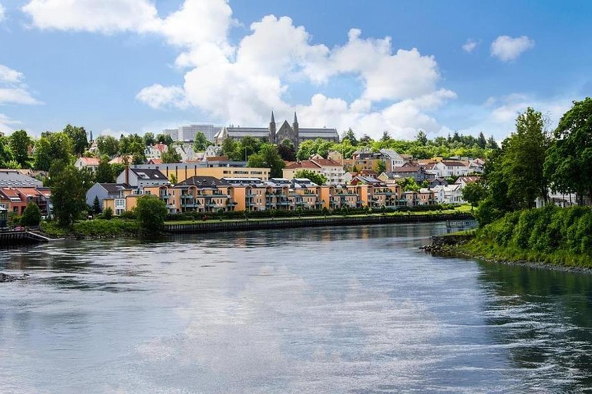 a river with houses and a town in the background
