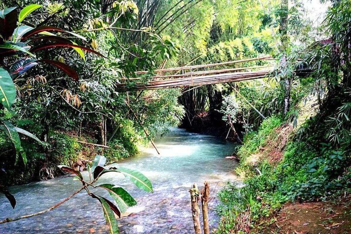 eine Brücke über einen Fluss im Dschungel