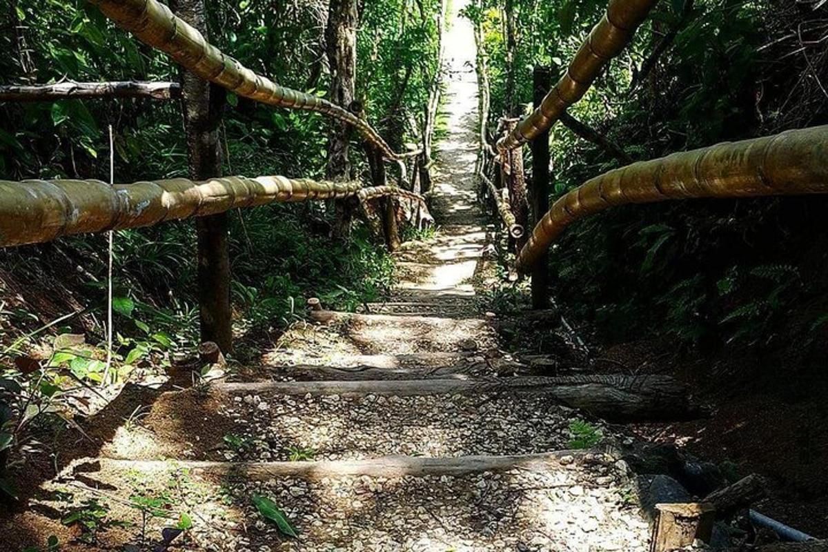un sentiero in una foresta con un ponte di bambù