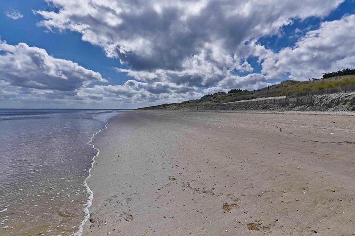 a beach with a cloudy sky and the ocean