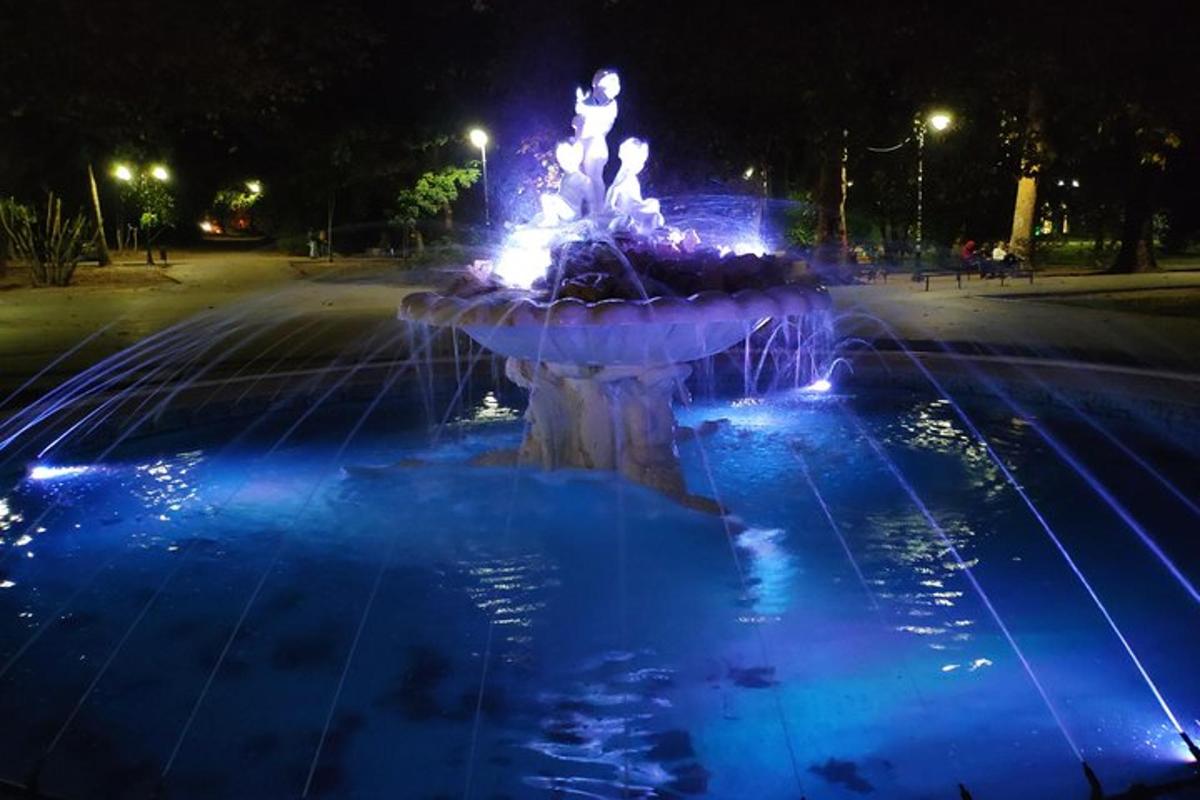 una fontana in un parco di notte con luci