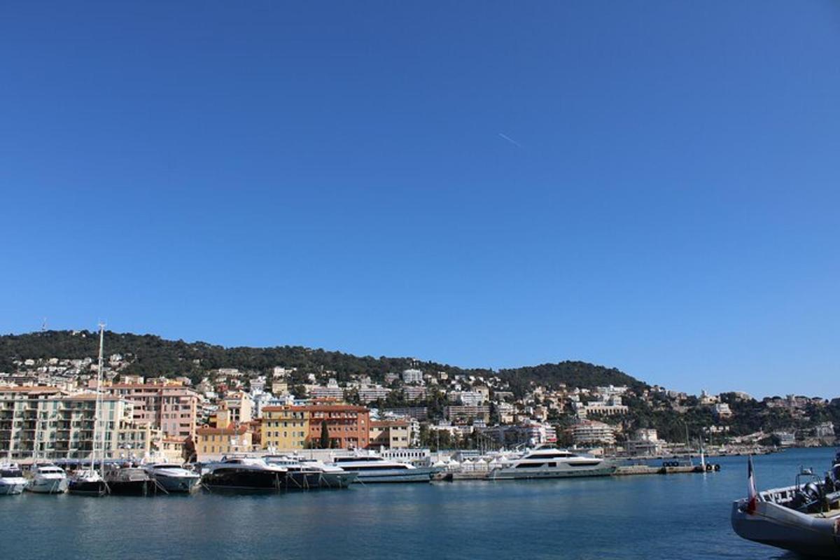 un gruppo di barche è attraccato in un porto
