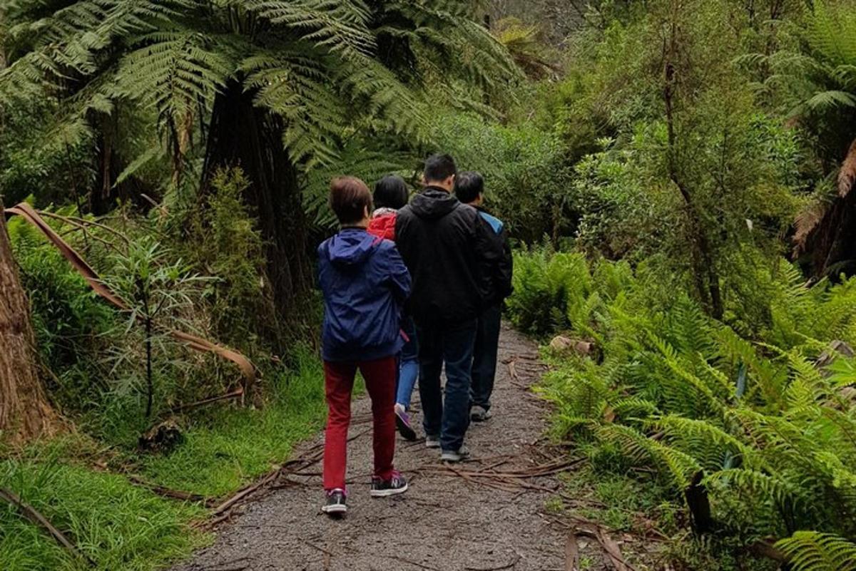 un gruppo di persone che camminano lungo un sentiero